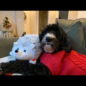 Meet your Posher, Tammy